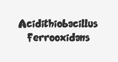 Thumbnail for lifespan of Acidithiobacillus ferrooxidans