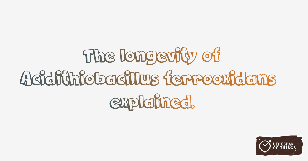 Lifespan of Acidithiobacillus ferrooxidans