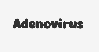 Thumbnail for lifespan of Adenovirus