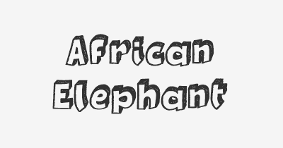 Thumbnail for lifespan of African Elephant
