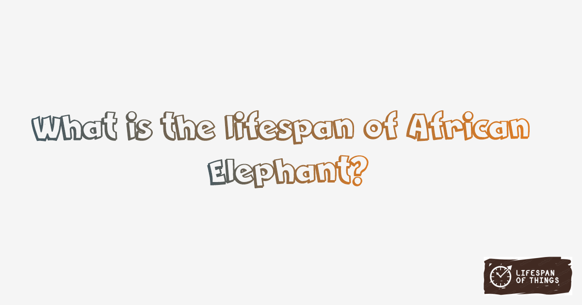 Lifespan of African Elephant