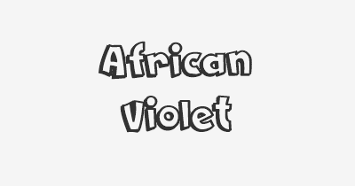 Thumbnail for lifespan of African Violet