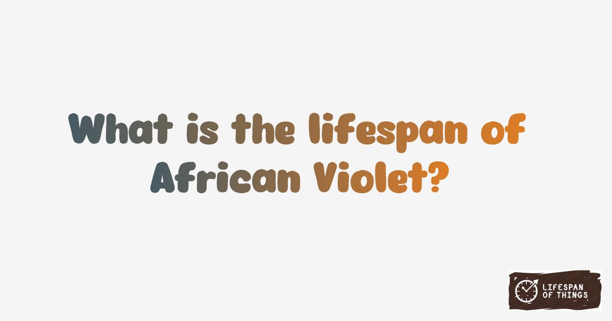 Lifespan of African Violet