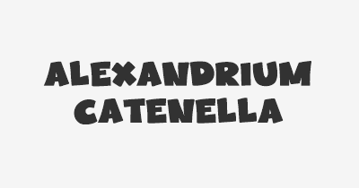 Thumbnail for lifespan of Alexandrium catenella