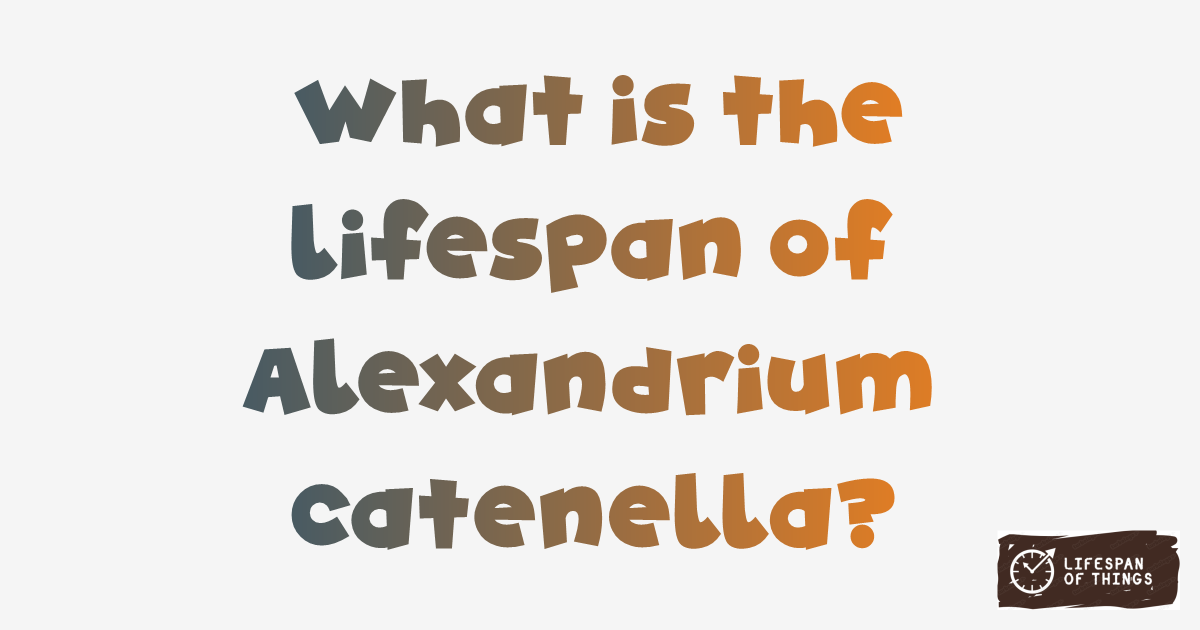 Lifespan of Alexandrium catenella
