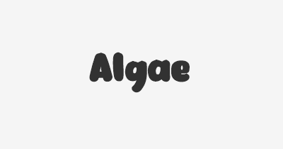 Thumbnail for lifespan of Algae