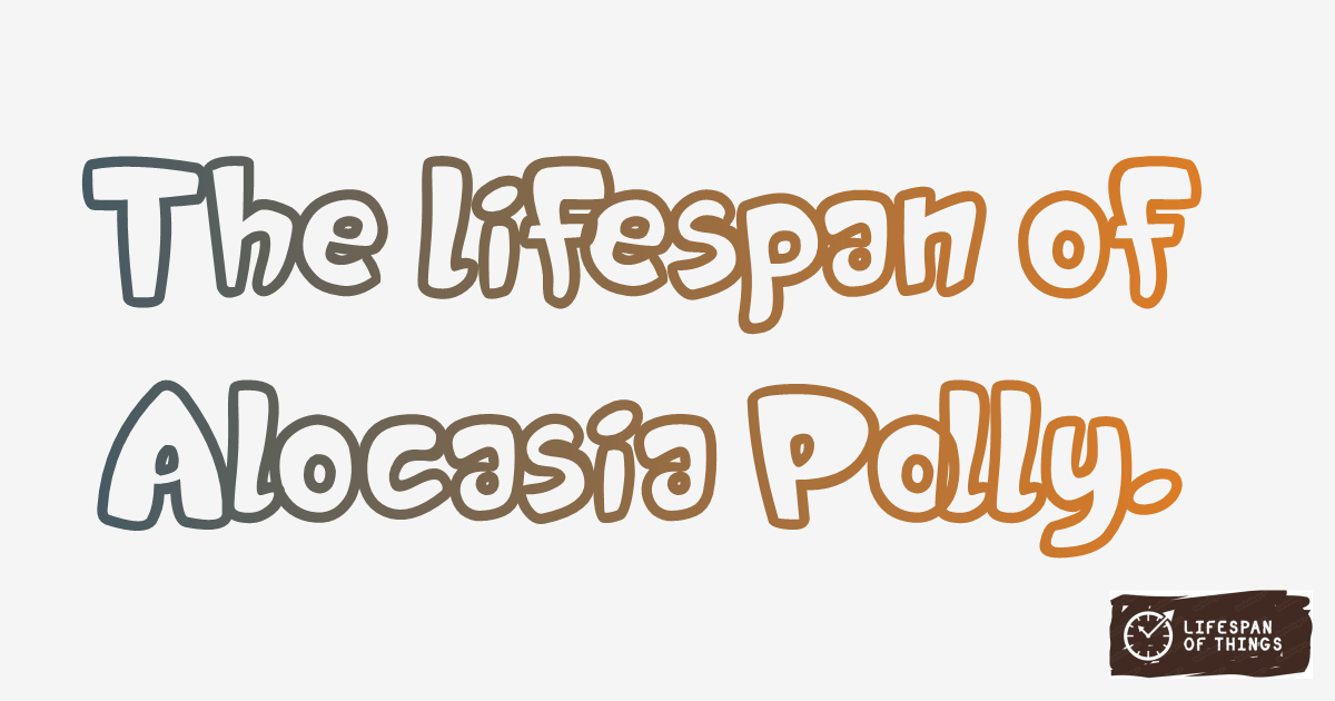 Lifespan of Alocasia Polly