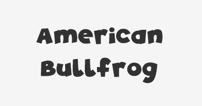 Thumbnail for lifespan of American Bullfrog