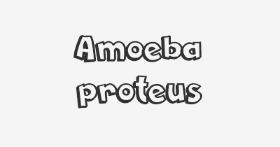 Thumbnail for lifespan of Amoeba proteus