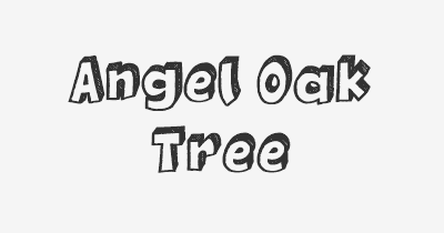 Thumbnail for lifespan of Angel Oak Tree