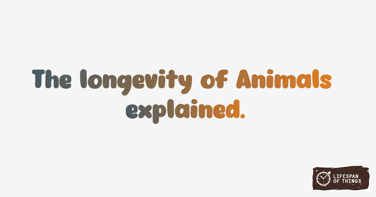 Lifespan of Animals