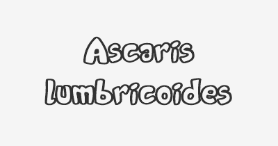Thumbnail for lifespan of Ascaris lumbricoides