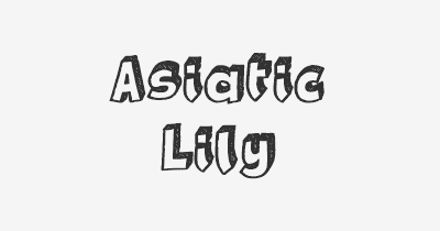 Thumbnail for lifespan of Asiatic Lily