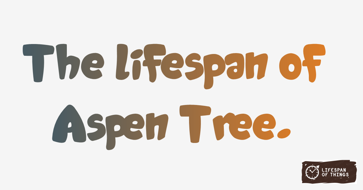 Lifespan of Aspen Tree