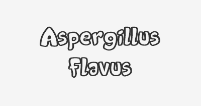 Thumbnail for lifespan of Aspergillus flavus