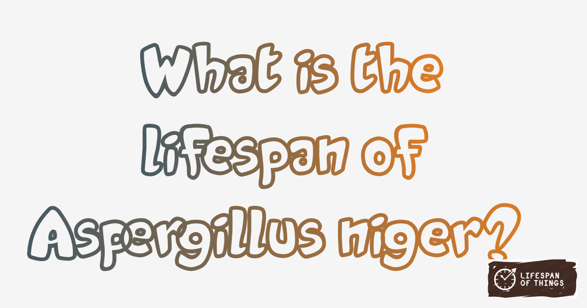 Lifespan of Aspergillus niger