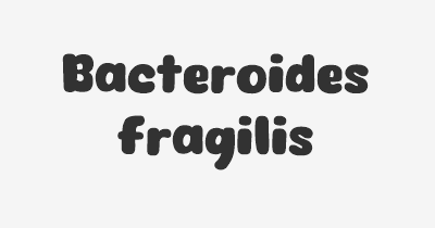 Thumbnail for lifespan of Bacteroides fragilis