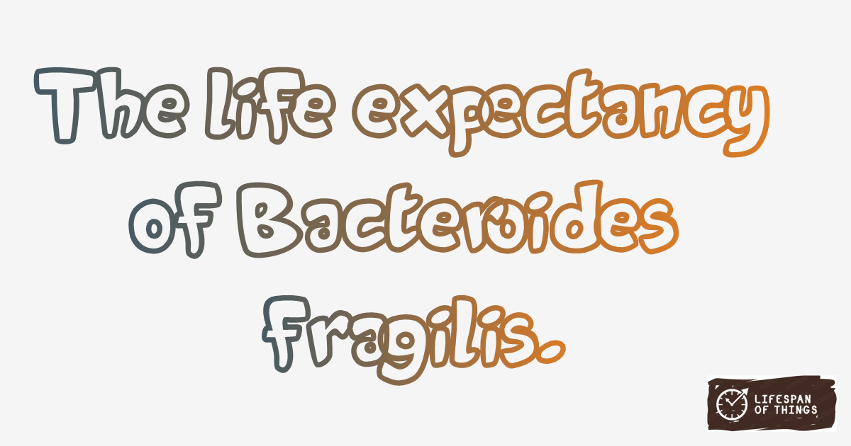 Lifespan of Bacteroides fragilis