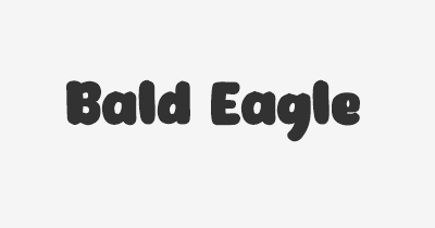 Thumbnail for lifespan of Bald Eagle