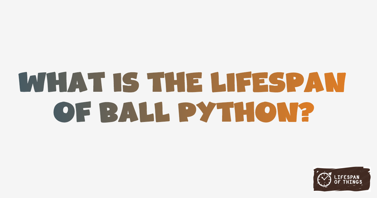 Lifespan of Ball Python