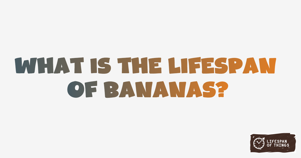 Lifespan of Bananas