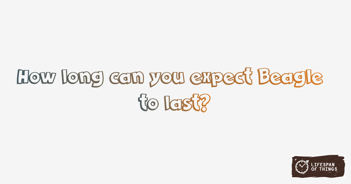 Lifespan of Beagle