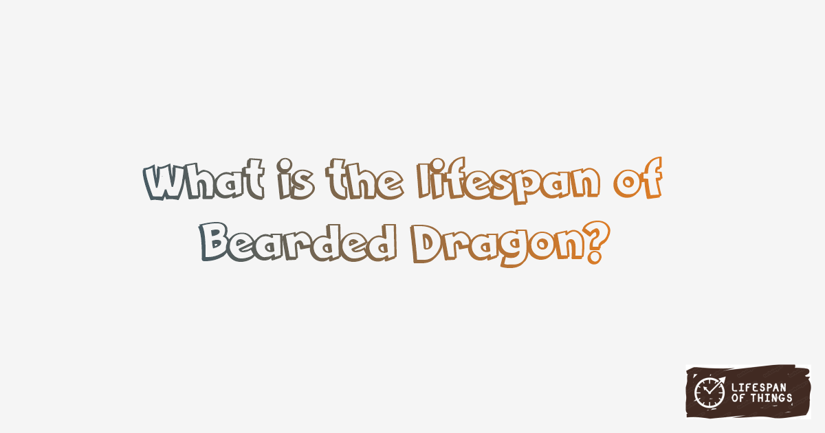Lifespan of Bearded Dragon