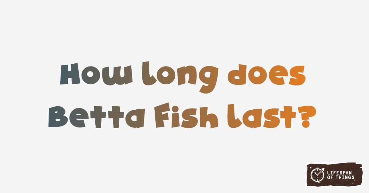 Lifespan of Betta Fish