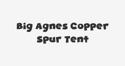 Thumbnail for lifespan of Big Agnes Copper Spur Tent