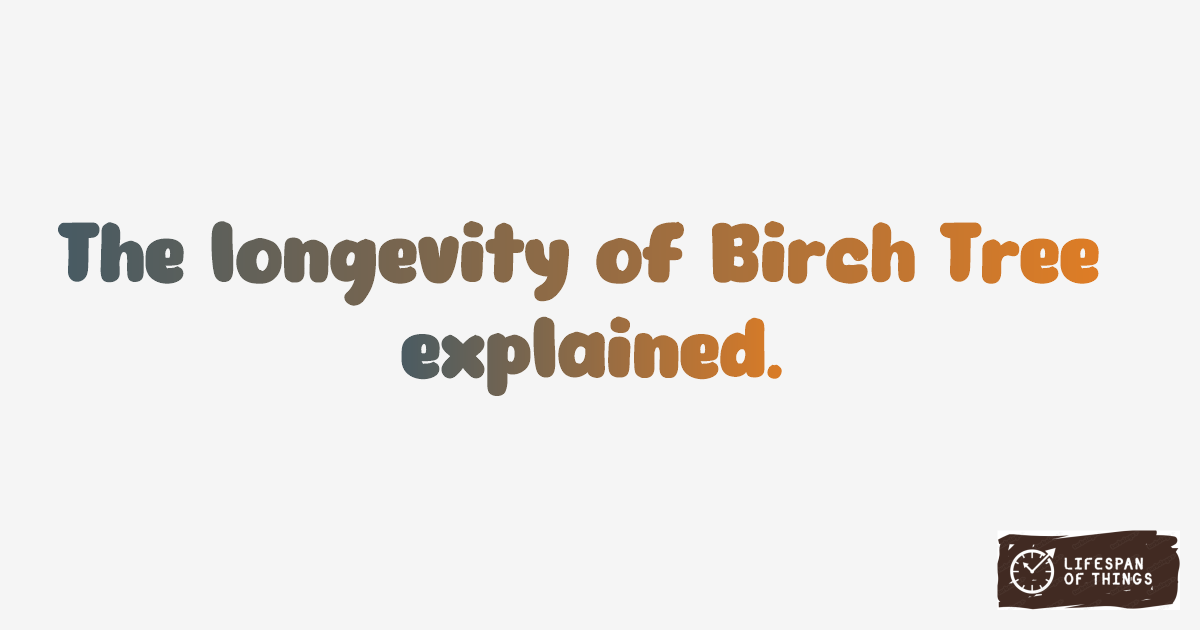 Lifespan of Birch Tree