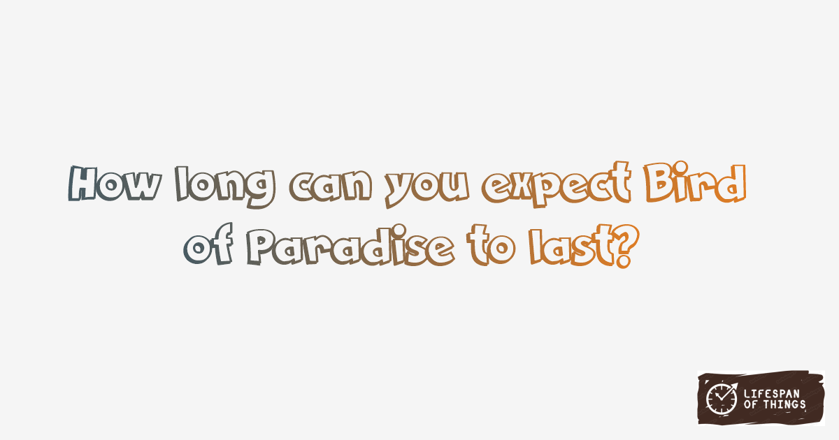 Lifespan of Bird of Paradise