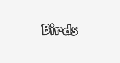 Thumbnail for lifespan of Birds