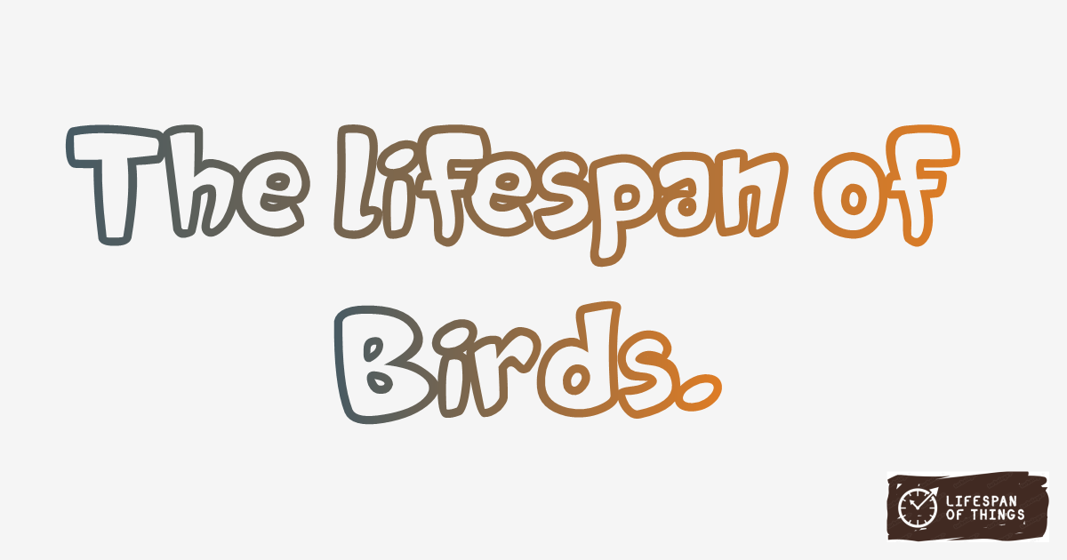 Lifespan of Birds