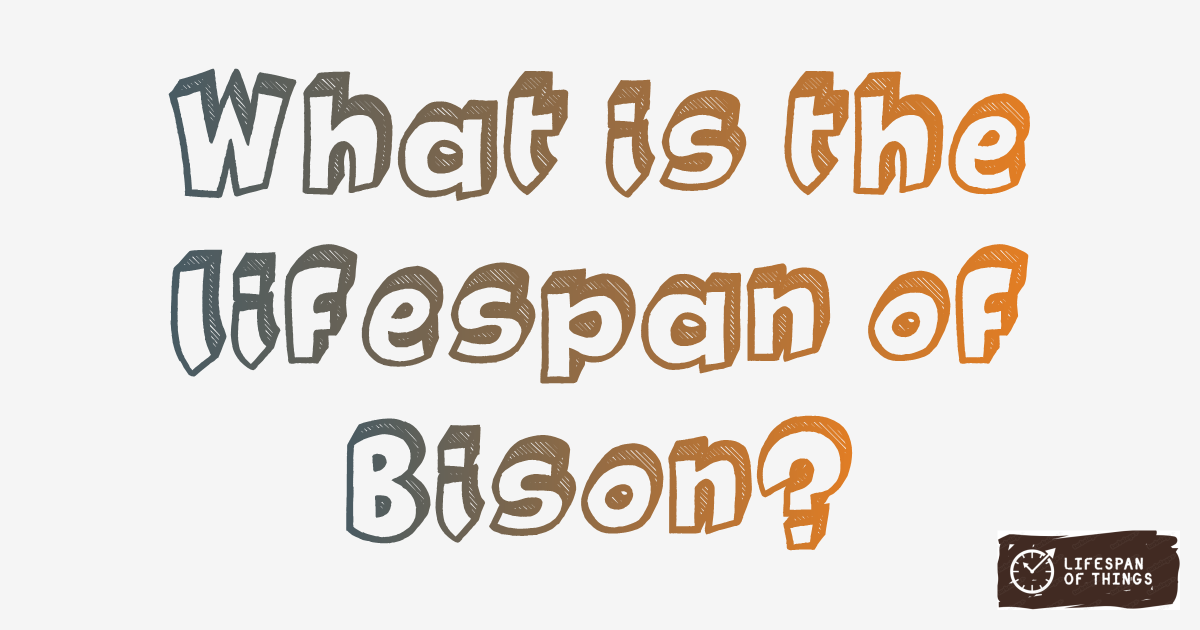 Lifespan of Bison