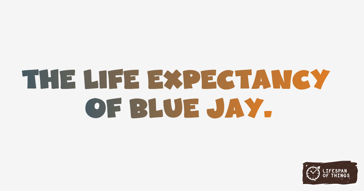Lifespan of Blue Jay