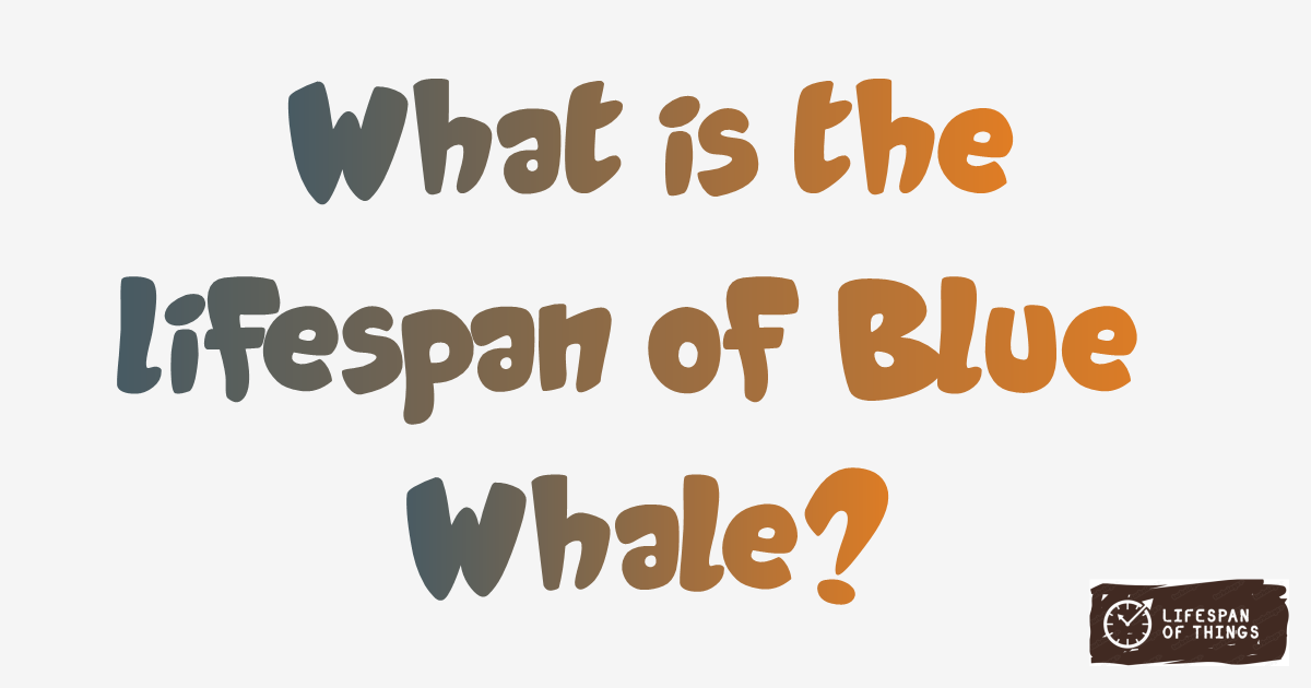 Lifespan of Blue Whale