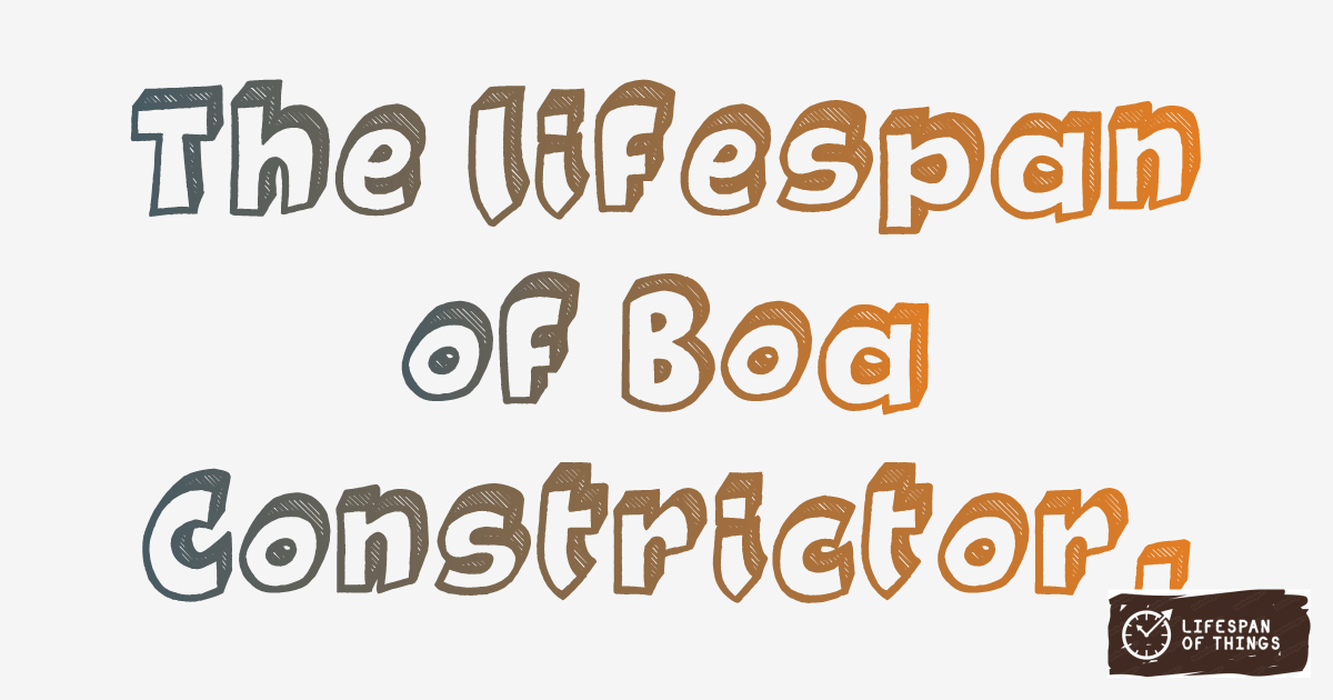 Lifespan of Boa Constrictor
