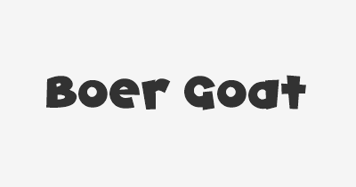 Thumbnail for lifespan of Boer Goat