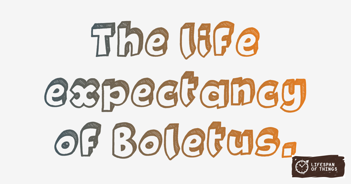Lifespan of Boletus