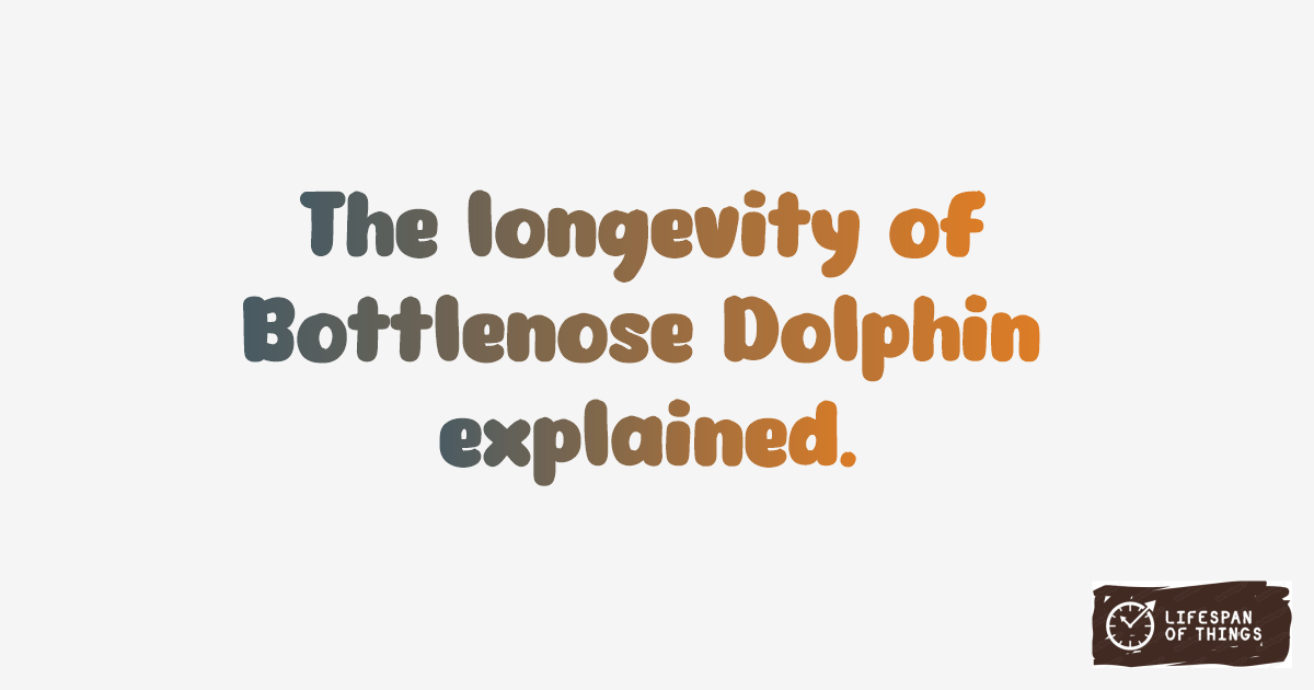 Lifespan of Bottlenose Dolphin