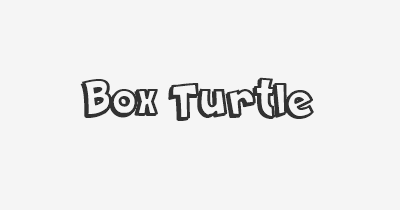 Thumbnail for lifespan of Box Turtle