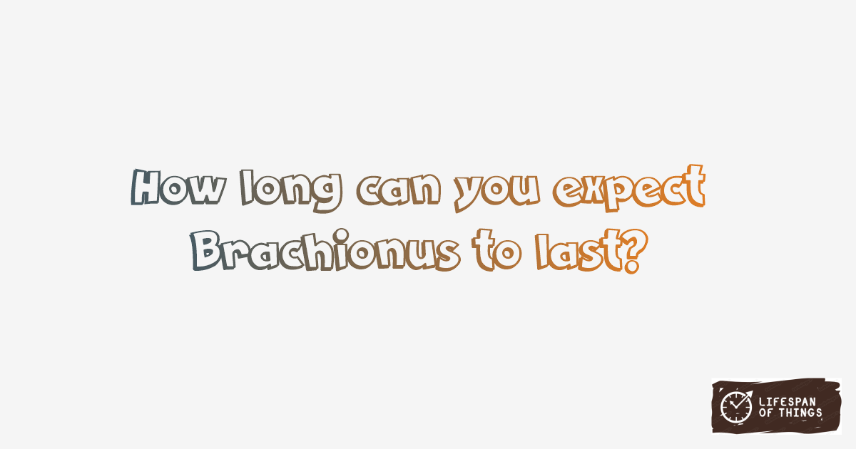 Lifespan of Brachionus