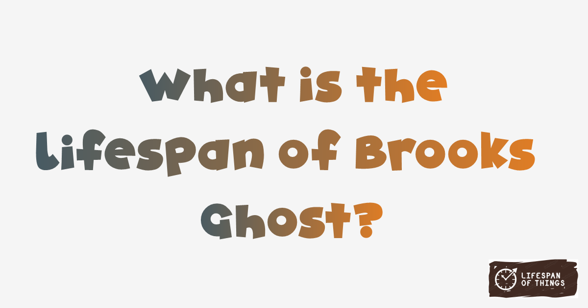 Lifespan of Brooks Ghost