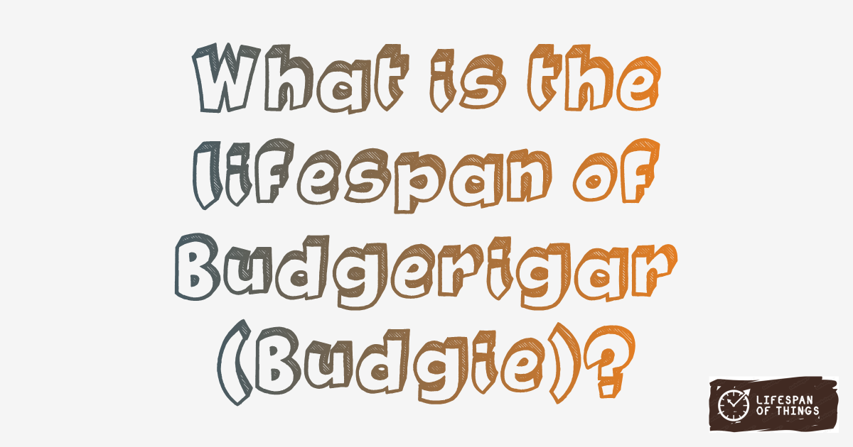 Lifespan of Budgerigar (Budgie)