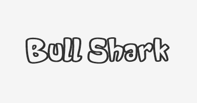 Thumbnail for lifespan of Bull Shark