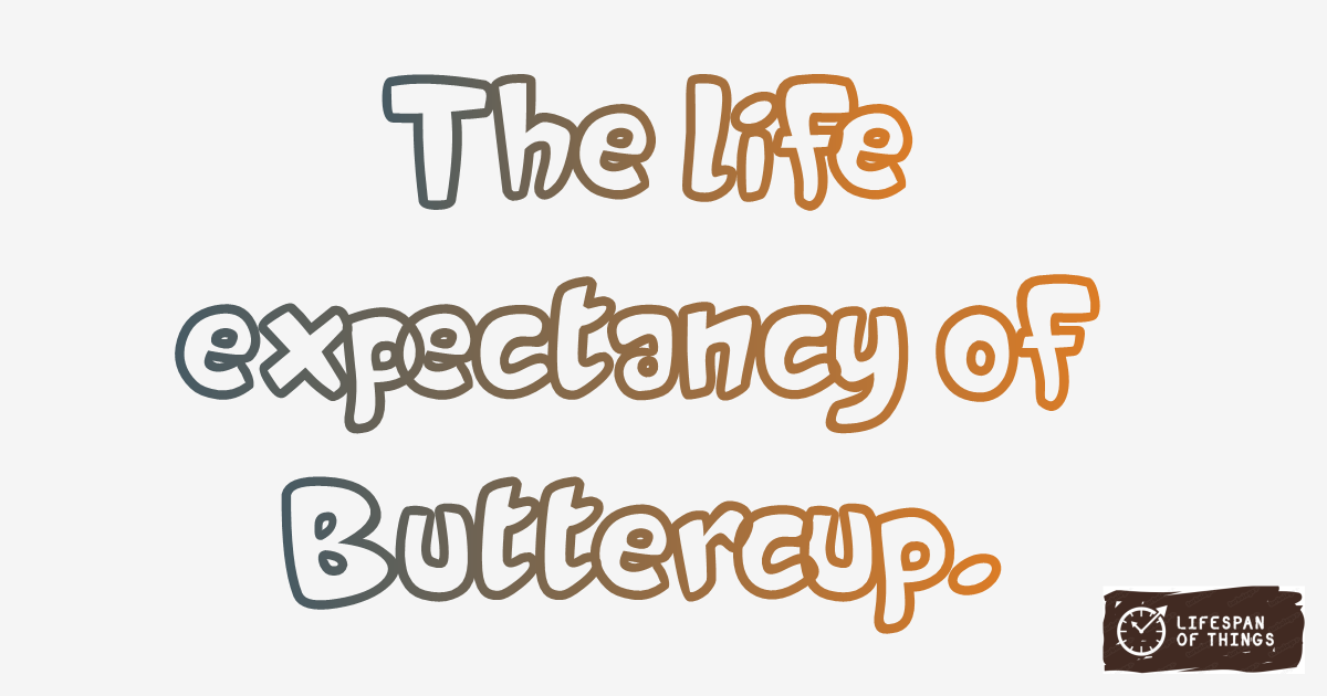 Lifespan of Buttercup