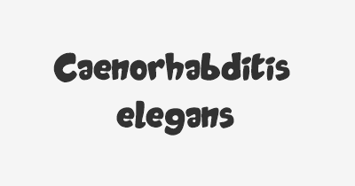 Thumbnail for lifespan of Caenorhabditis elegans