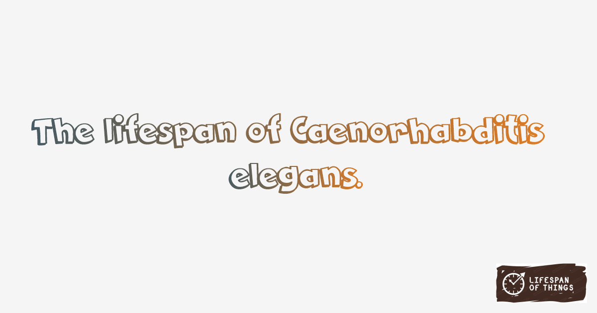 Lifespan of Caenorhabditis elegans
