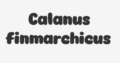 Thumbnail for lifespan of Calanus finmarchicus