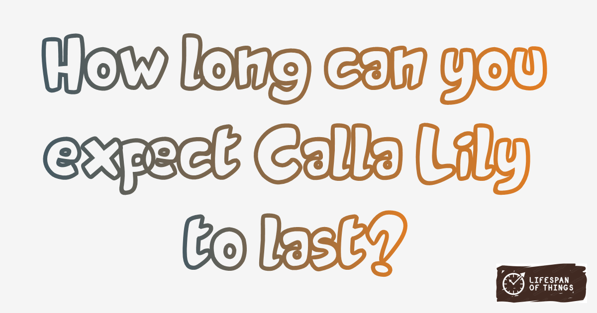 Lifespan of Calla Lily